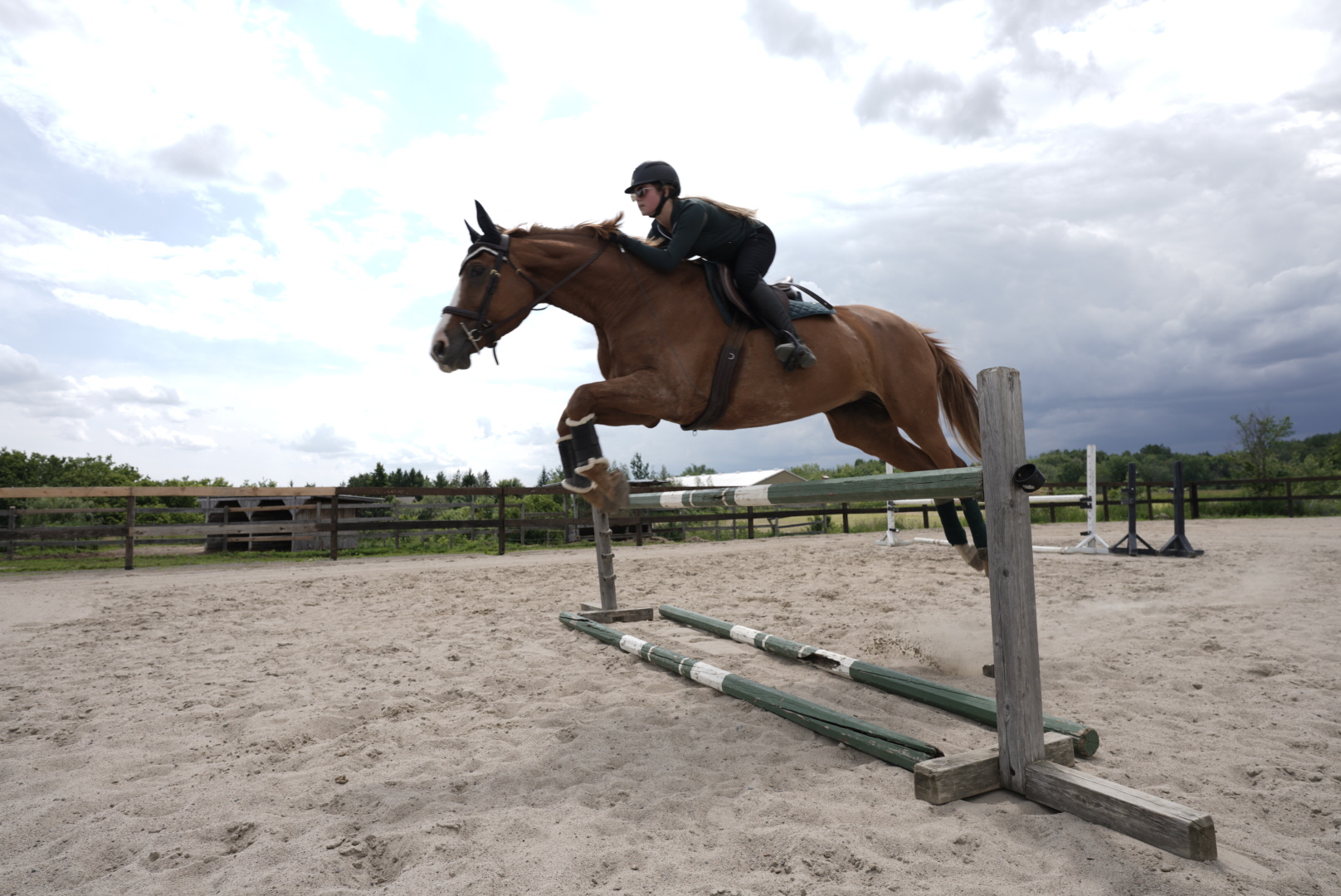 Compétition équestre